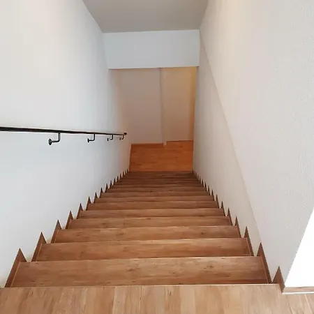 Wiesenblume * Schönau im Schwarzwald